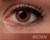 Bruna Linser Freshlook Colorblends Brown 2-pack